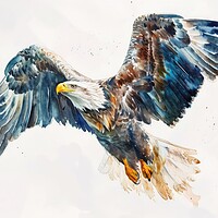 Buy canvas prints of Watercolor of a sea eagle on white. by Michael Piepgras