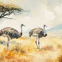 Buy canvas prints of Watercolor of an Ostrich couple in the savannah. by Michael Piepgras