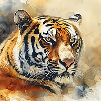 Buy canvas prints of Watercolor painting of an impressive Tiger. by Michael Piepgras