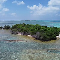 Buy canvas prints of Drone view of paradise islands of the Maldives with coral reefs  by Michael Piepgras