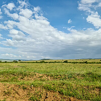 Buy canvas prints of Typical savannah landscape in the heart of Africa during the rai by Michael Piepgras