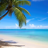 Buy canvas prints of A peaceful beach with palm trees and clear blue waters evoking r by Michael Piepgras