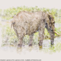 Buy canvas prints of Elephant in water watercolour by Christopher Lawrence Mrs Lawrence