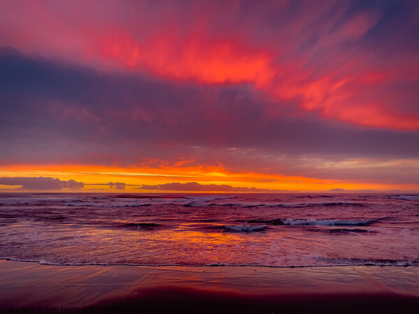 Red sunset over beach Picture Board by Sam Norris