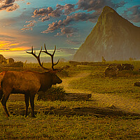 Buy canvas prints of Rosevelt Bull Elk by Sam Norris