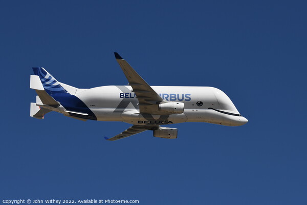 Airbus Beluga at RIAT 2022 Picture Board by John Withey