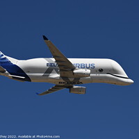 Buy canvas prints of Airbus Beluga at RIAT 2022 by John Withey