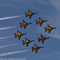 Buy canvas prints of ROK Black Eagles Diamond by John Withey