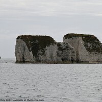 Buy canvas prints of Old Harry rocks by John Withey
