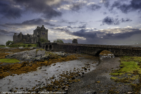 Iconic Eilean Donan: Scotland's Photogenic Fortres Picture Board by Gilbert Hurree