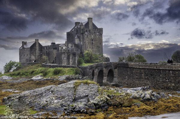 Scotland's Timeless Eilean Donan Castle Picture Board by Gilbert Hurree