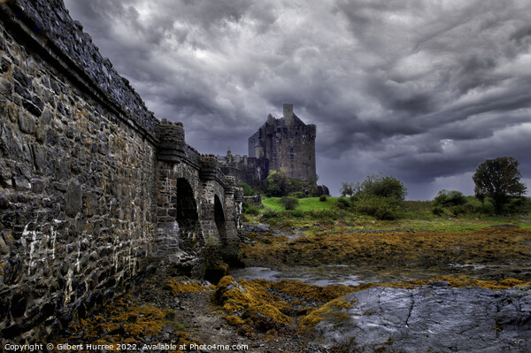 Eilean Donan: A Scottish Highland Relic Picture Board by Gilbert Hurree