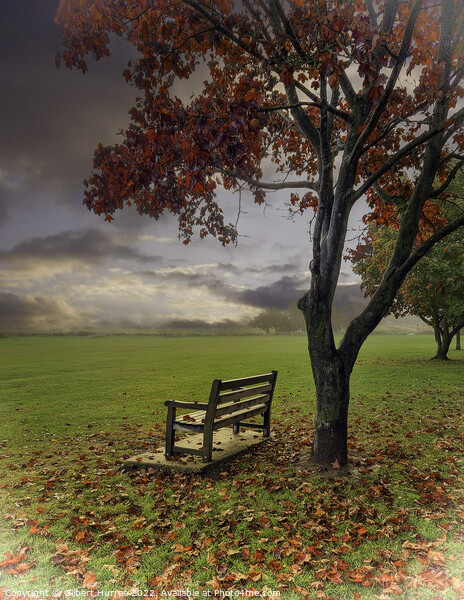 'Dawn's Embrace: South Benfleet Autumn' Picture Board by Gilbert Hurree