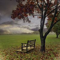 Buy canvas prints of 'Dawn's Embrace: South Benfleet Autumn' by Gilbert Hurree