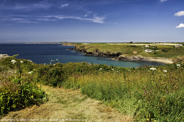 Cornwall Coastline Picture Board by Gilbert Hurree