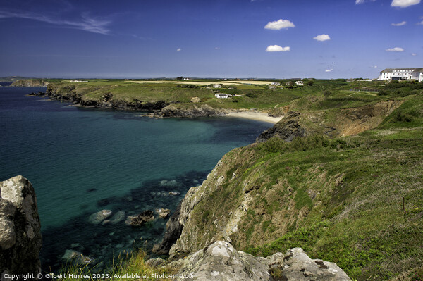 Cornwall Coastline  Picture Board by Gilbert Hurree