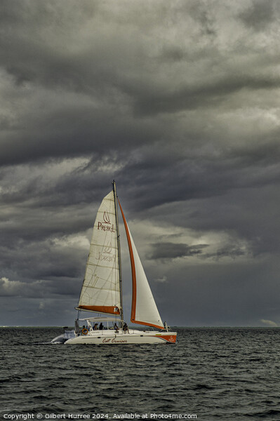 Sailing in Mauritius Picture Board by Gilbert Hurree