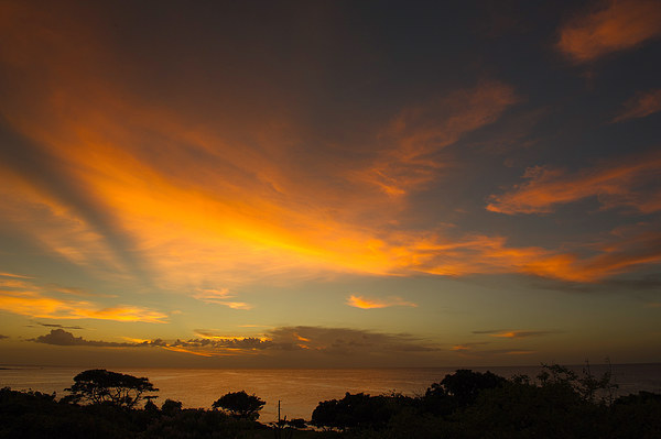 Sunset in Mauritius Picture Board by Gilbert Hurree