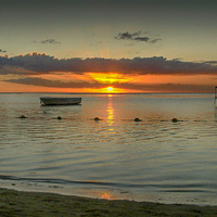Buy canvas prints of  Mauritius Sunset by Gilbert Hurree