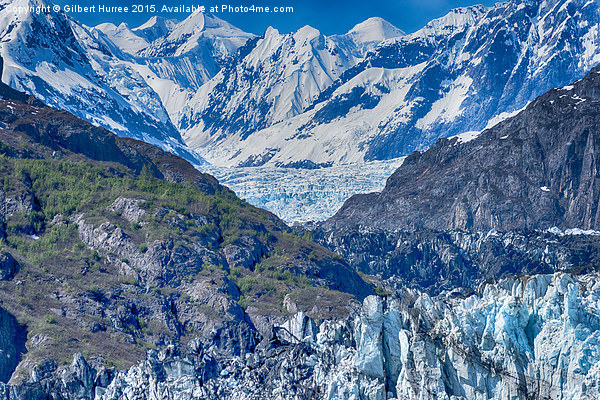  Alaskan Glaciers Picture Board by Gilbert Hurree