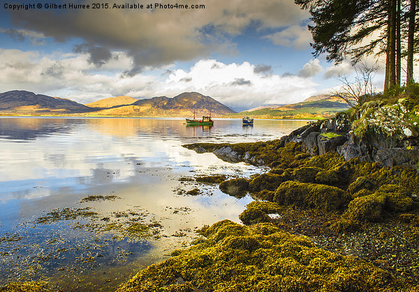 Loch Creran Scotland Picture Board by Gilbert Hurree