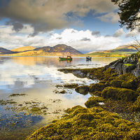 Buy canvas prints of Loch Creran Scotland by Gilbert Hurree