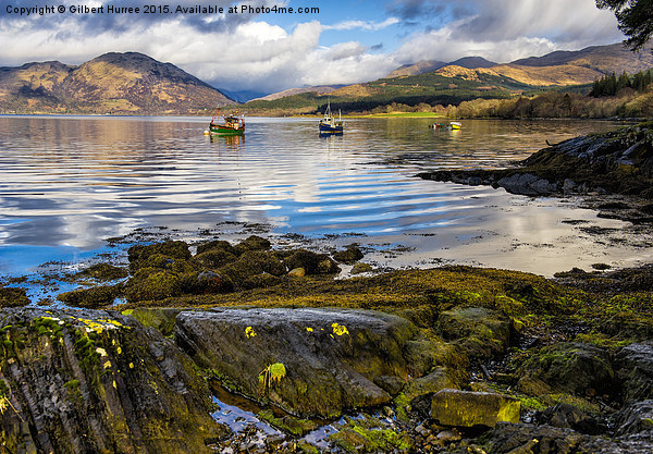 Enthralling Mysteries of Loch Creran Picture Board by Gilbert Hurree