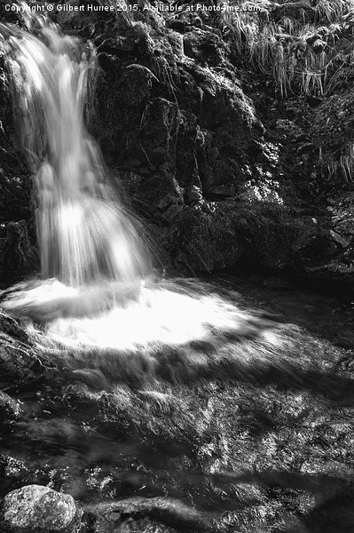 Aira Force Waterfall  Picture Board by Gilbert Hurree