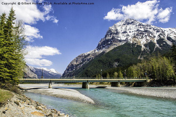 Embracing Nature: Kicking Horse River Picture Board by Gilbert Hurree