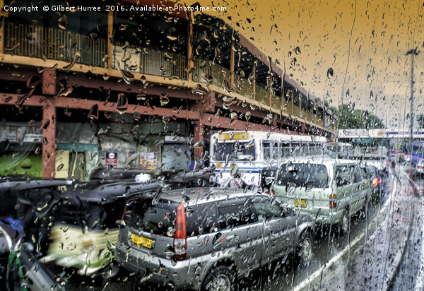 Sri Lanka's Vibrant Monsoon Season Picture Board by Gilbert Hurree
