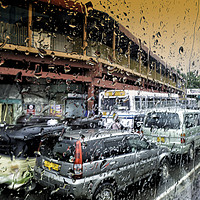 Buy canvas prints of Sri Lanka's Vibrant Monsoon Season by Gilbert Hurree