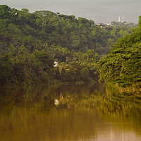 Buy canvas prints of Captivating Kandy: Sri Lanka's Spice-Laden River by Gilbert Hurree