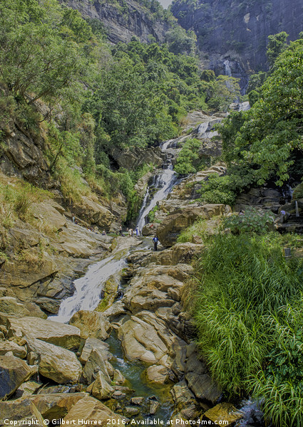 Sri Lanka's Spellbinding Waterfall Scene Picture Board by Gilbert Hurree