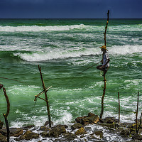 Buy canvas prints of Poised Stilt Fishermen of Sri Lanka by Gilbert Hurree