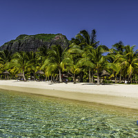 Buy canvas prints of 'Le Morne Brabant: Mauritius' Unseen Beauty' by Gilbert Hurree
