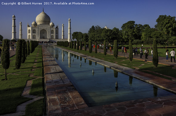 The Taj Mahal: Symbol of Undying Love Picture Board by Gilbert Hurree