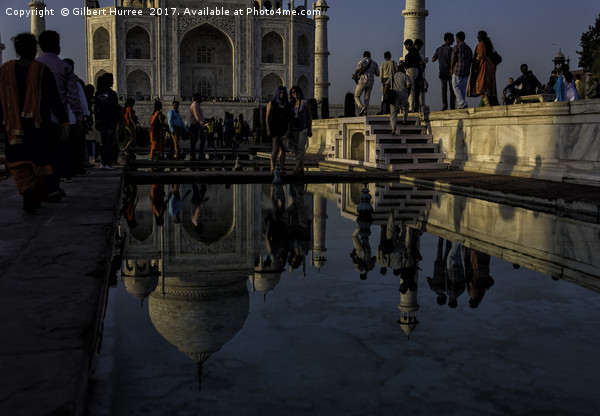 The Taj Mahal: Reflections of Eternal Love Picture Board by Gilbert Hurree