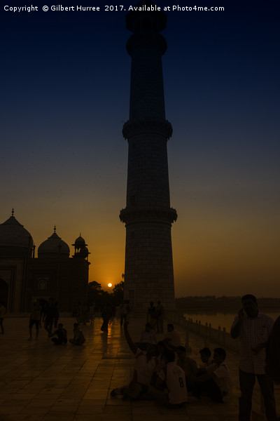 Love's Tribute: Taj Mahal at Twilight Picture Board by Gilbert Hurree