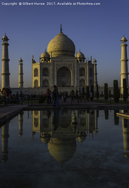 Taj Mahal's Twilight Elegance Picture Board by Gilbert Hurree