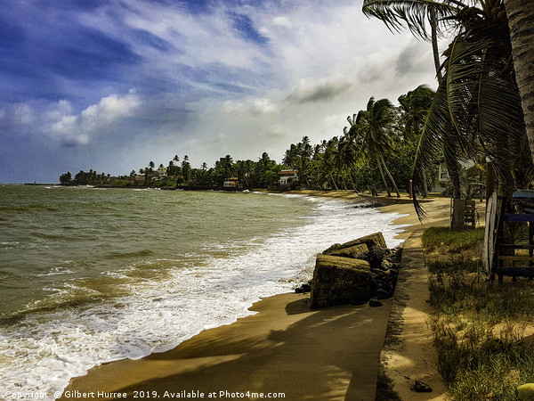 Sri Lanka's Paradise: Cinnamon Bey Beyruwala Picture Board by Gilbert Hurree