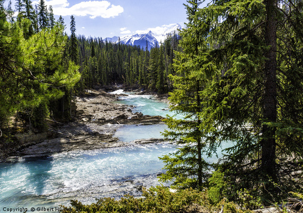 Yoho's Azure Kicking Horse River Picture Board by Gilbert Hurree