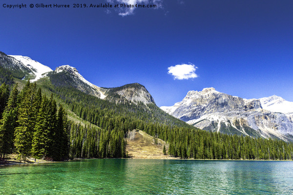 Turquoise Tranquillity: Emerald Lake Picture Board by Gilbert Hurree