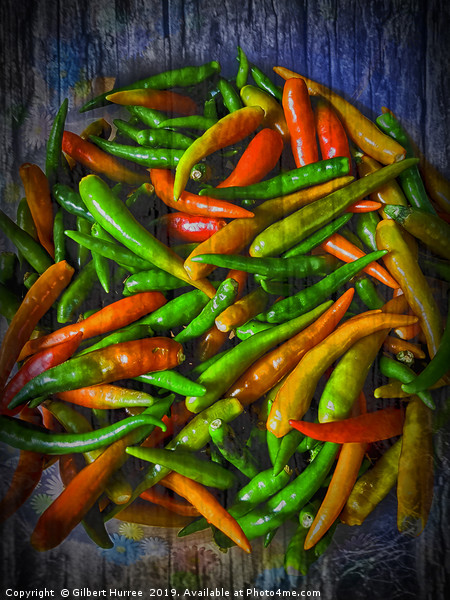 Fiery Thai Finger Chillies Picture Board by Gilbert Hurree