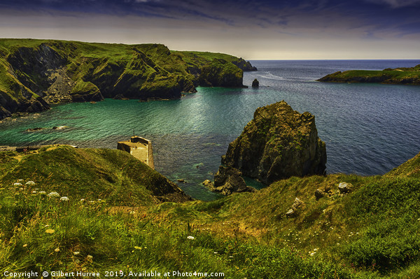 Unveiling Cornwall's Hidden Gem, Mullion Cove Picture Board by Gilbert Hurree