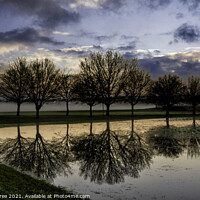 Buy canvas prints of Essex Countryside by Gilbert Hurree