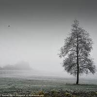 Buy canvas prints of Enchanted Winter Morning by Gilbert Hurree