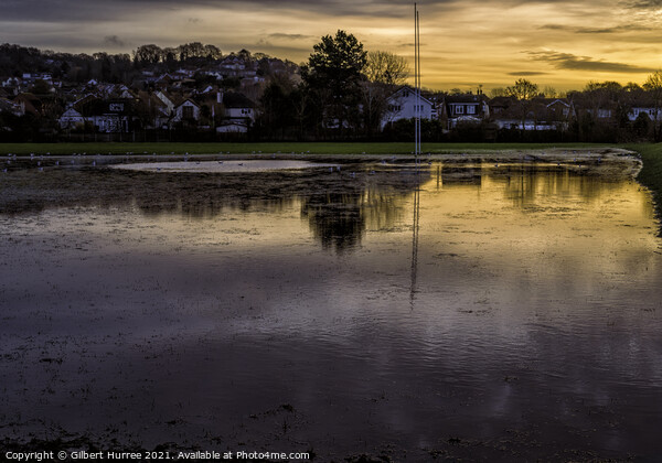 Richmond Park Flooded Fields  Picture Board by Gilbert Hurree