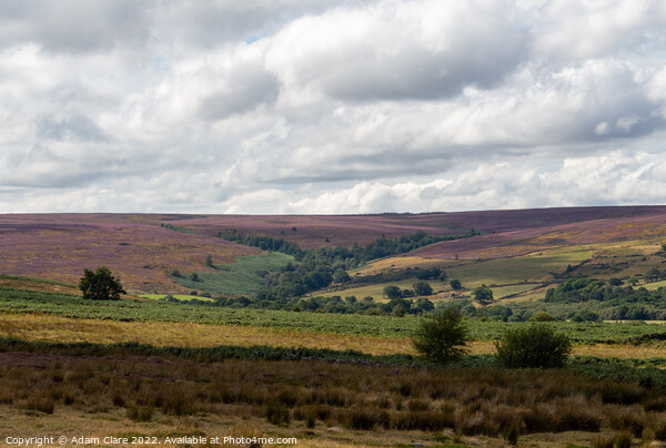 Mystical journey through North York Moors Picture Board by Adam Clare