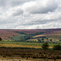 Buy canvas prints of Mystical journey through North York Moors by Adam Clare