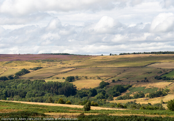 The Majestic North York Moors Picture Board by Adam Clare
